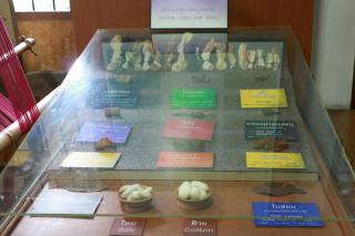 17. [30/08/60] นักศึกษาโปรแกรมวิชาการประถมศึกษา ชั้นปีที่ 4 รหัส 57 ศึกษาดูงานแหล่งเรียนรู้ทางวัฒนธรรม จังหวัดพิษณุโลก